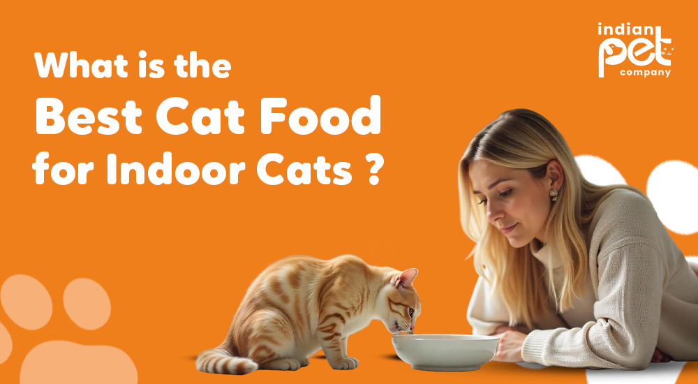 Saving Lives: Animal House Shelter And Downtown Pet Supply