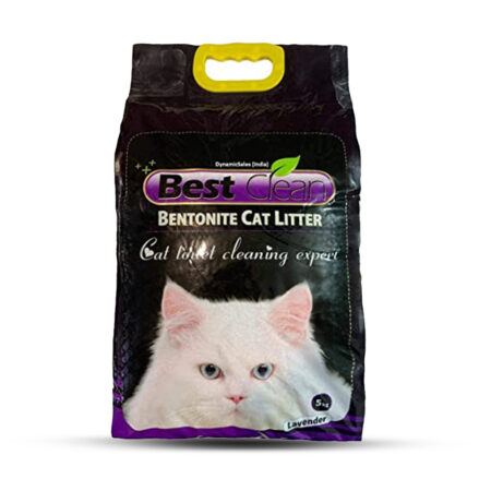 Best Clean Cat Litter Lavender